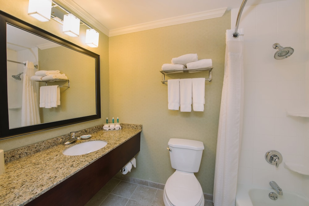 Suite, 1 King Bed, Accessible (Communication) - Photo 4
