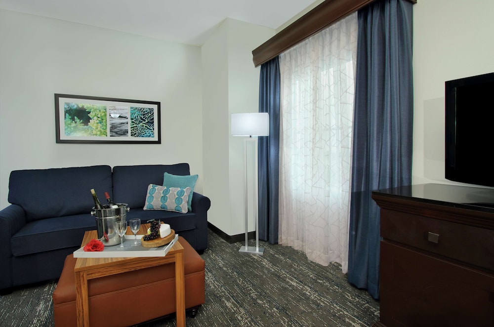 Studio, 1 King Bed, Accessible (Mobility & Hearing, Roll-in Shower) - Photo 8