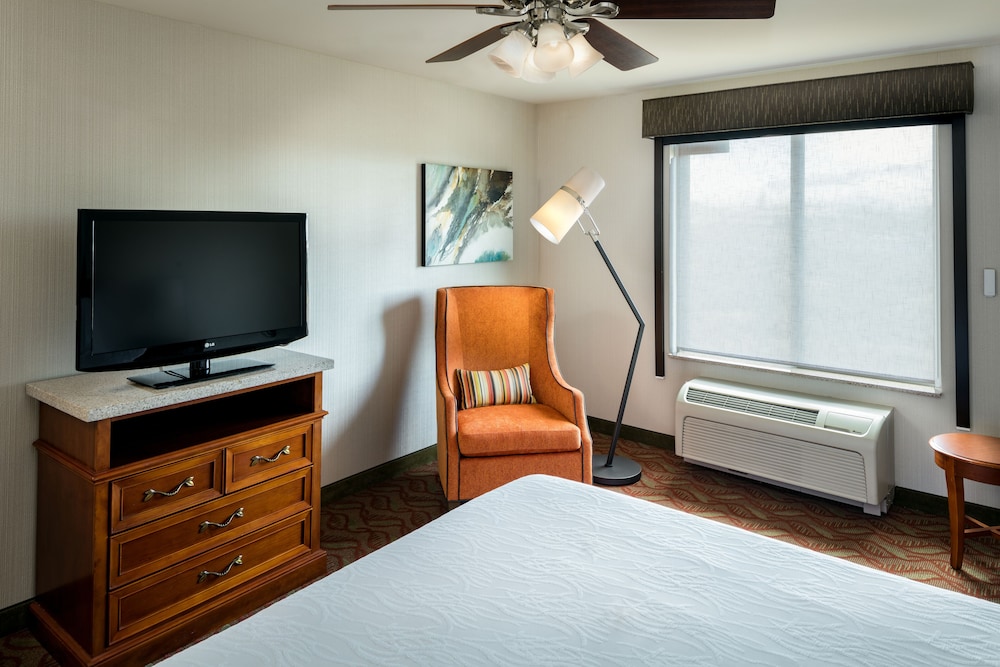 Suite, Accessible - Photo 1