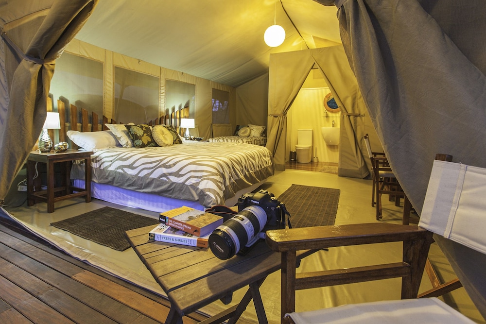 Deluxe Tent (Safari) photo 3