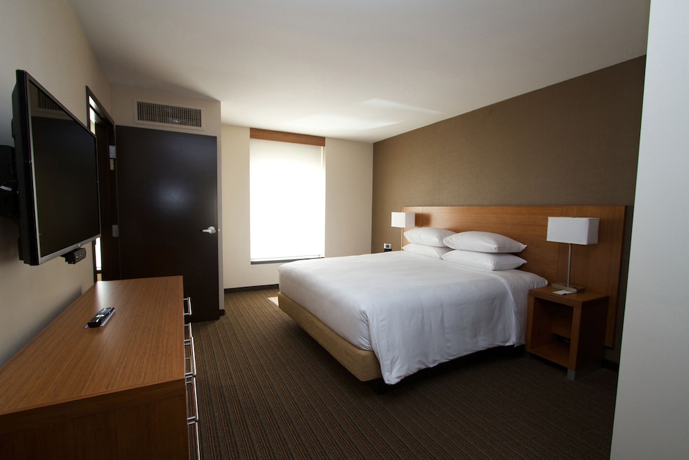 Suite, 1 King Bed With Sofa Bed