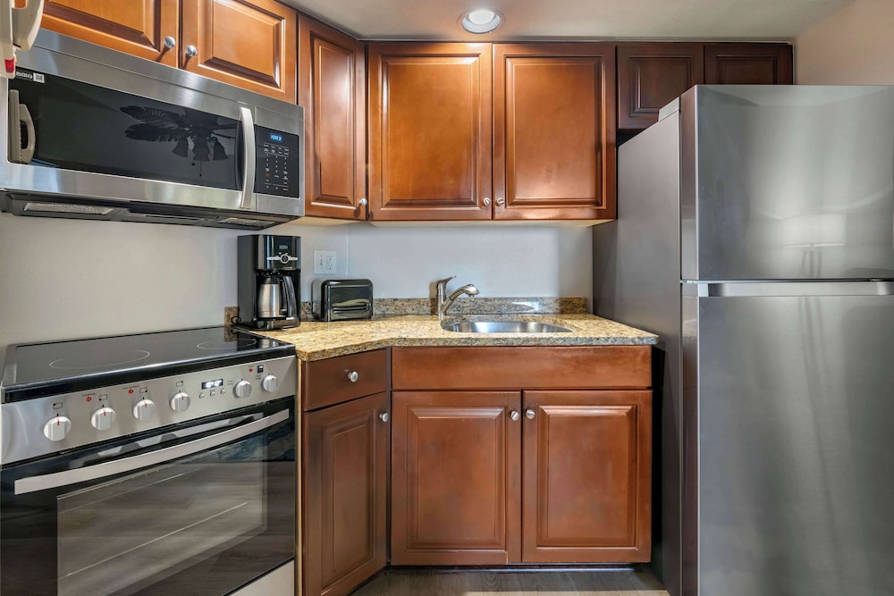1 Bedroom 1 King Suite