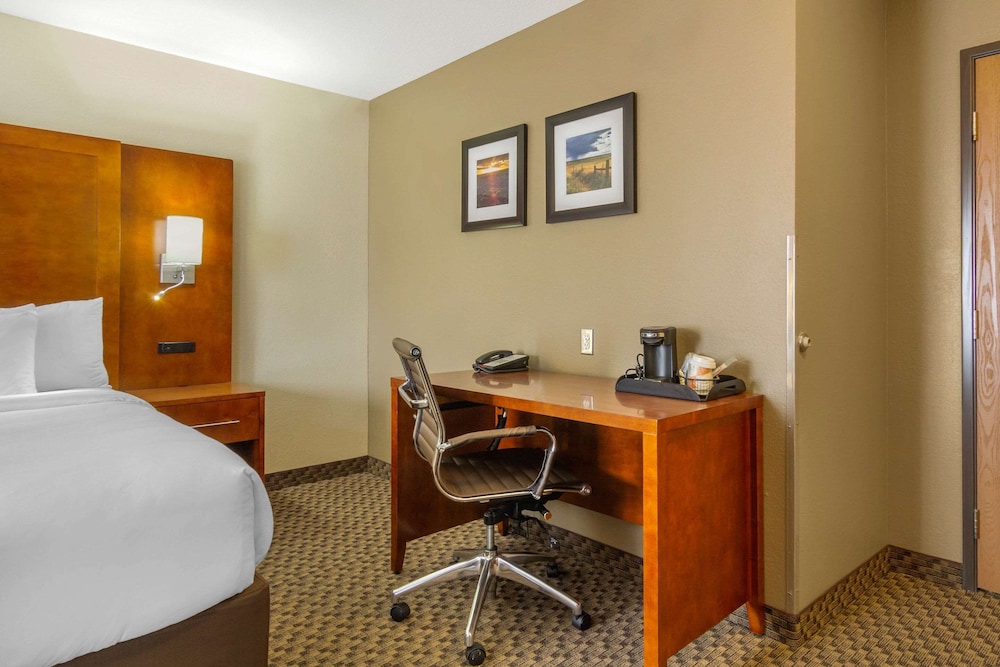 Room, 1 King Bed, Non Smoking (Larger Unit) photo 2