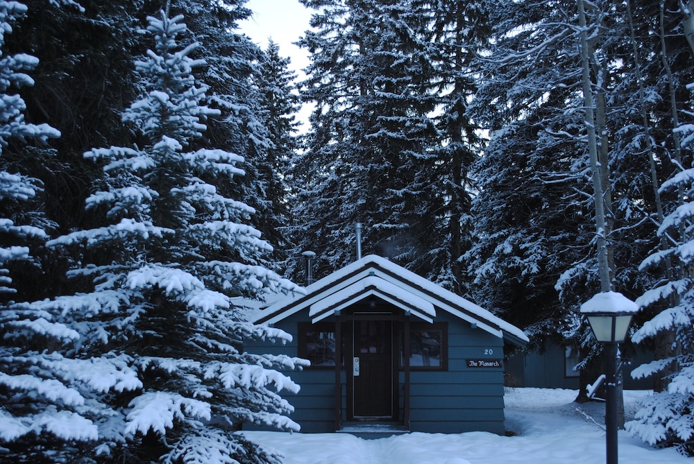 Basic Cabin (Standard Studio Cabin) photo 3
