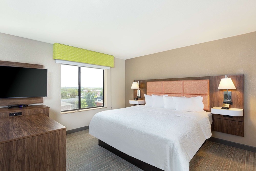 Studio, 1 King Bed, Accessible, Non Smoking (Mobility & Hearing, Roll-In Shower) - Photo 1