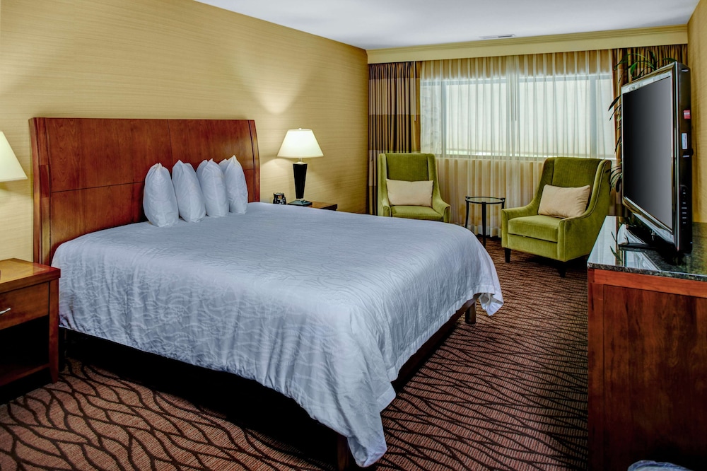 Suite, 1 King Bed photo 3