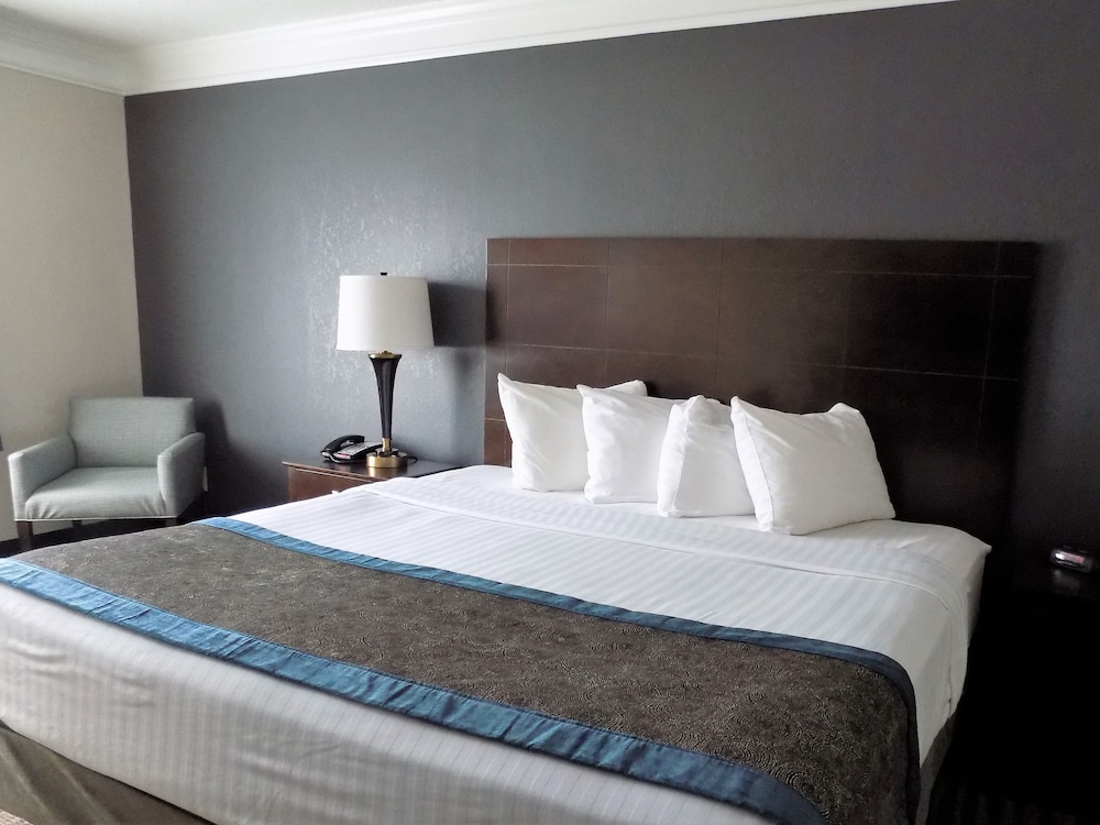 Standard Room, 1 King Bed, Accessible, Non Smoking - Photo 3