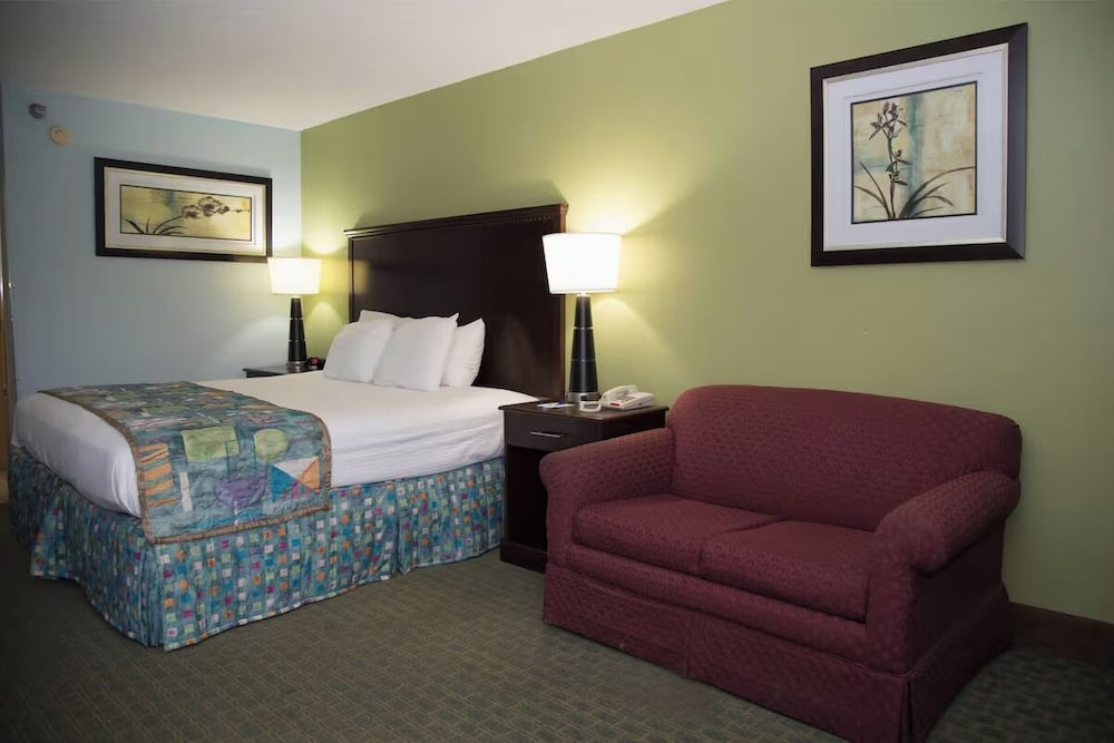 Room, 1 King Bed with Sofa bed photo 1