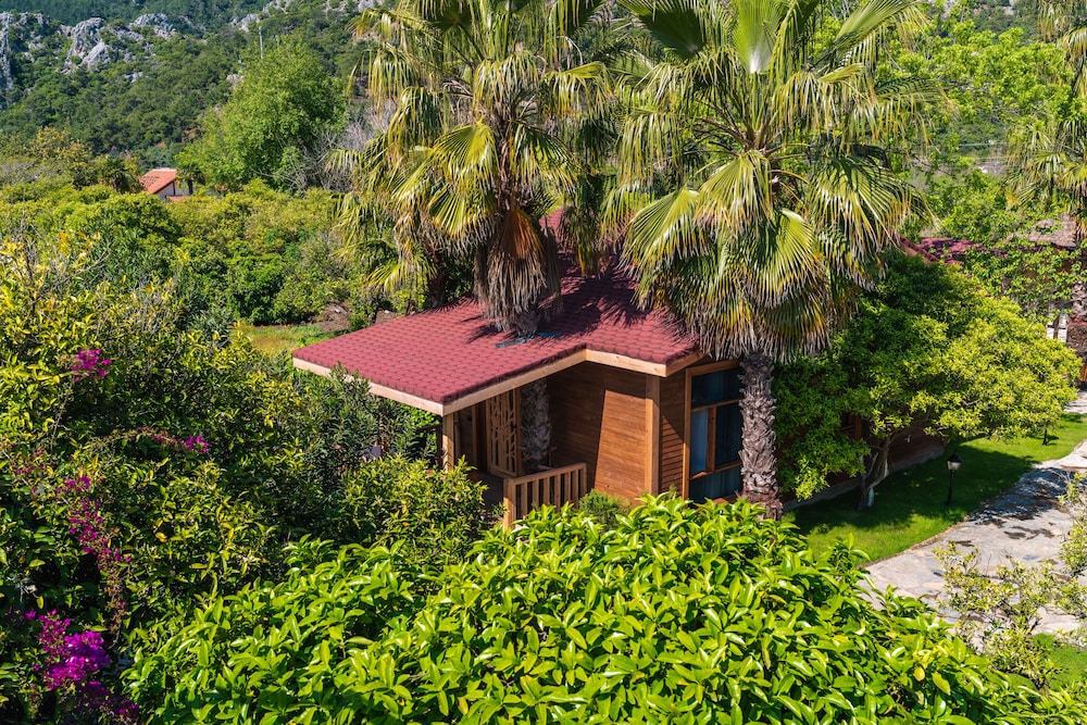 Deluxe Villa - Photo 8