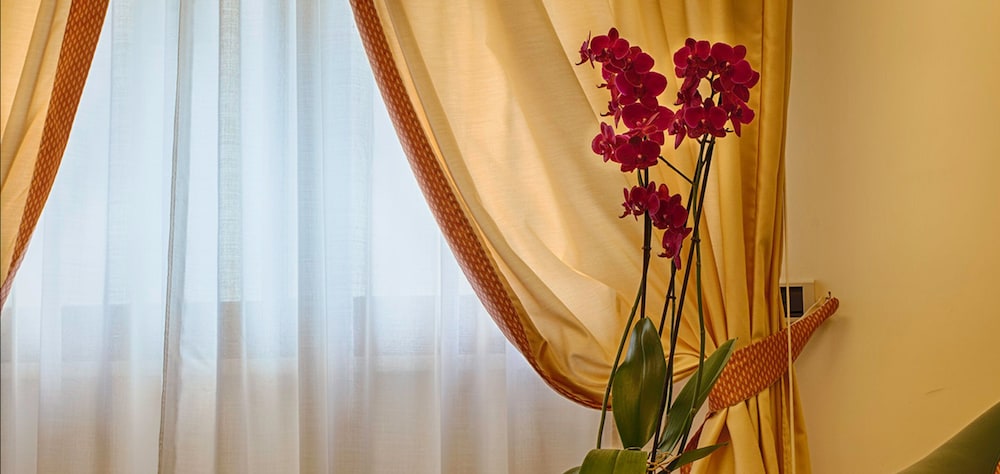 Classic Single Room photo 2