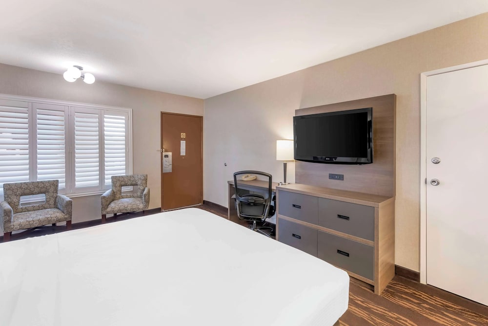 Standard Room, 1 King Bed, Accessible, Non Smoking - Photo 3