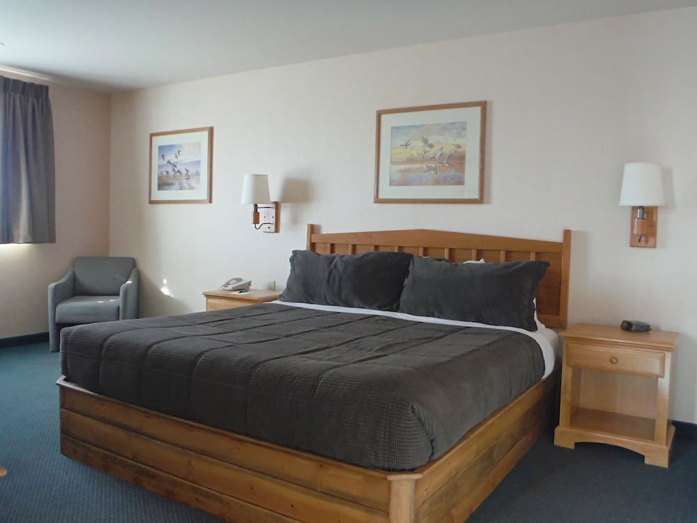 Standard King Suite, Sofa Sleeper