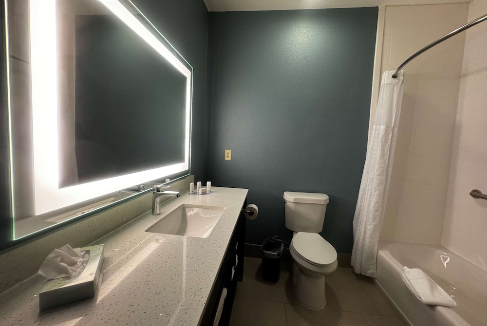 Standard Suite, 1 King Bed, Accessible, Kitchenette - Photo 18