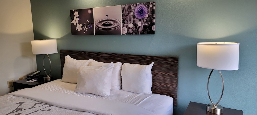 Standard Room, 1 King Bed, Non Smoking - Photo 4