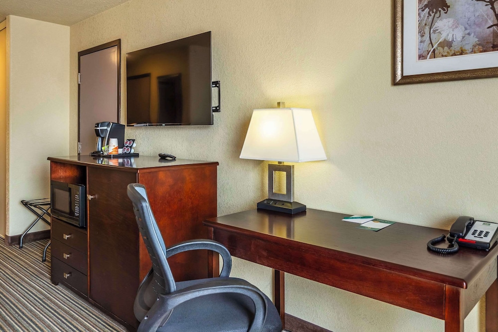 Room, 1 Queen Bed with Sofa bed, Accessible, Non Smoking photo 2
