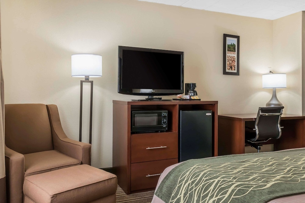 Standard Room, 1 King Bed, Non Smoking - Photo 4