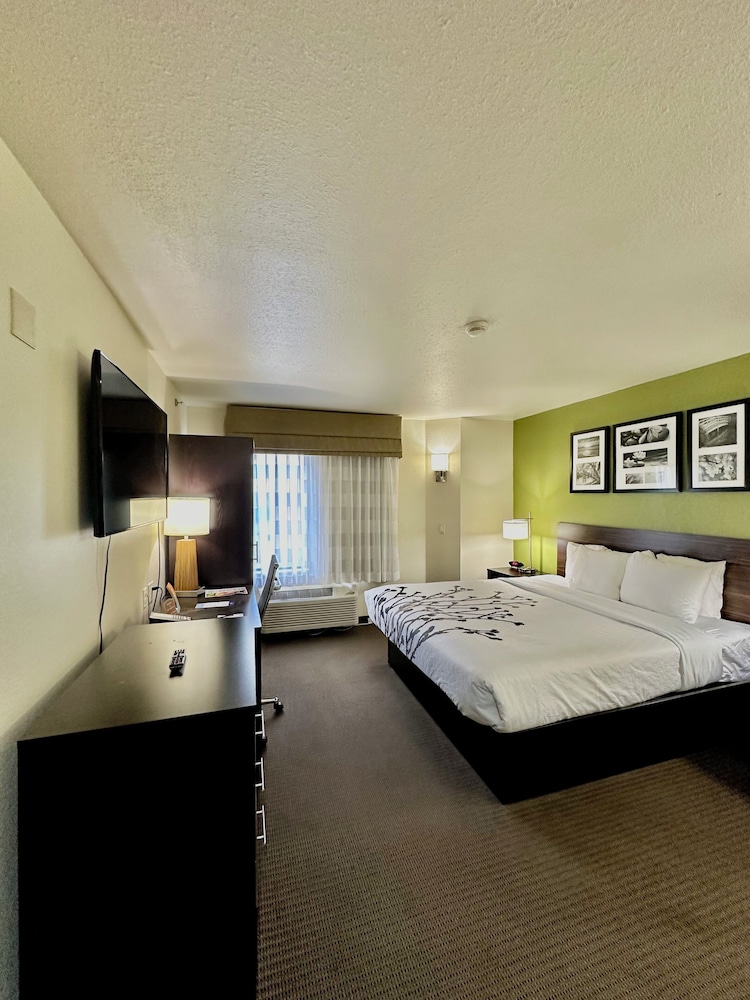 Suite, 2 Bedrooms (1 King Bed and 1 Sofa Bed) photo 1