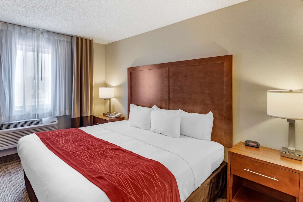 Suite, 1 King Bed, Accessible, Non Smoking photo 1