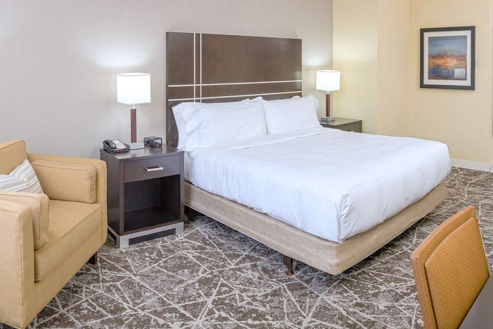 Room, 1 King Bed, Accessible - Photo 4