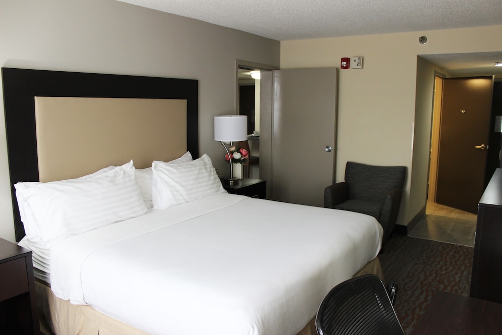 Suite, 1 Bedroom, Kitchen - Photo 2