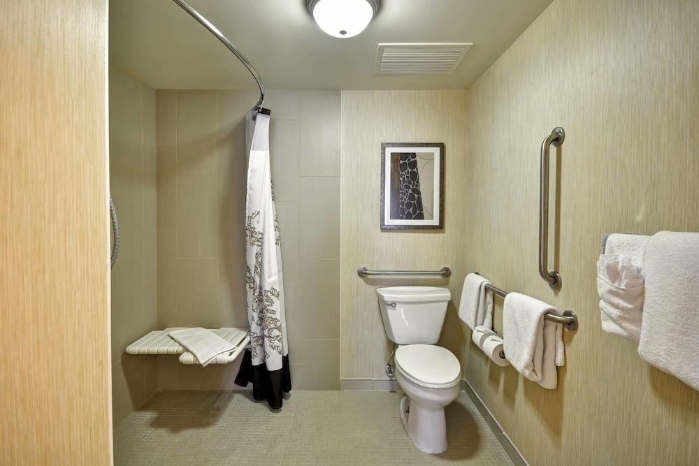 Studio, 1 King Bed with Sofa bed (Mobility Accessible, Tub)