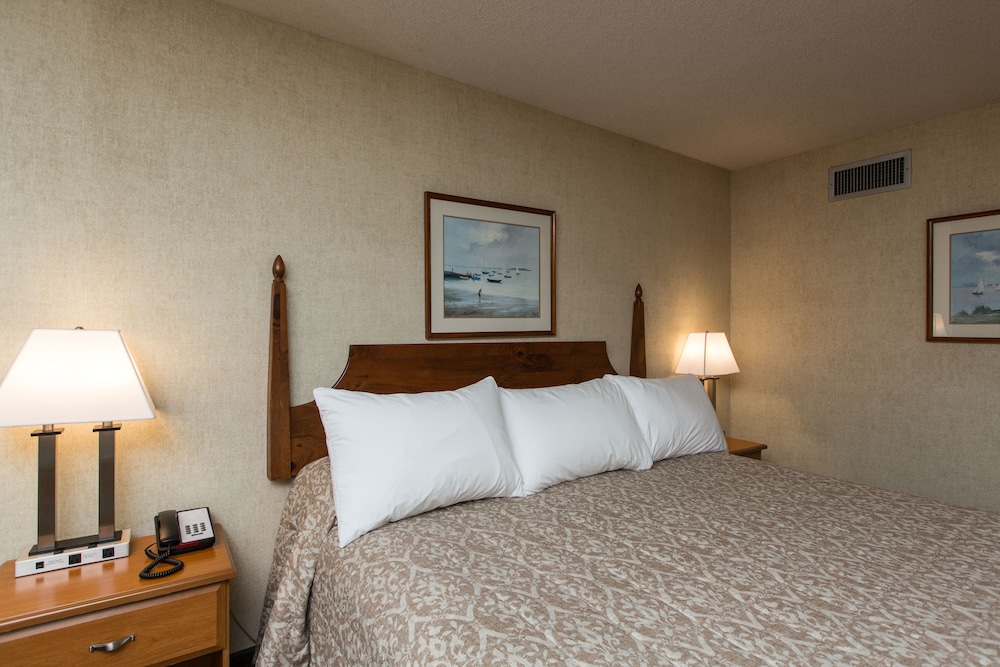Deluxe Room, 1 King Bed. Pet Availability Limited. Please inform of pets at time of booking. - Photo 2