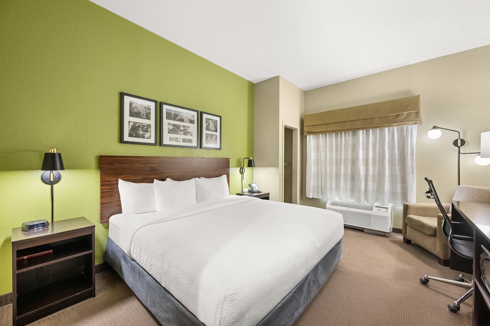 Room, 1 King Bed, Accessible, Non Smoking - Photo 1