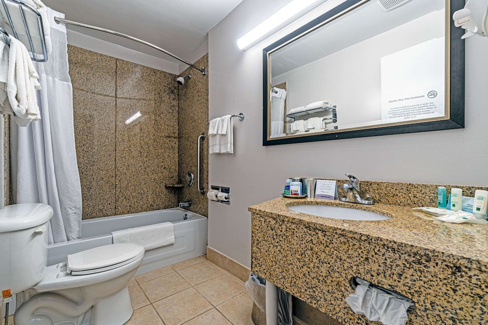 Suite, 1 King Bed, Non Smoking - Photo 8