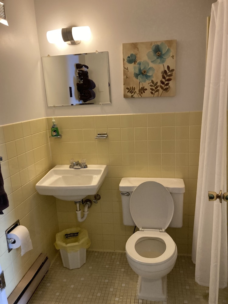Deluxe Studio Suite photo 3