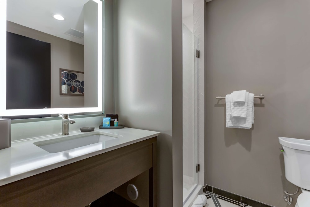 Standard Room, 1 King Bed, Accessible, Balcony (Walk-in Shower;Larger Room) - Photo 6