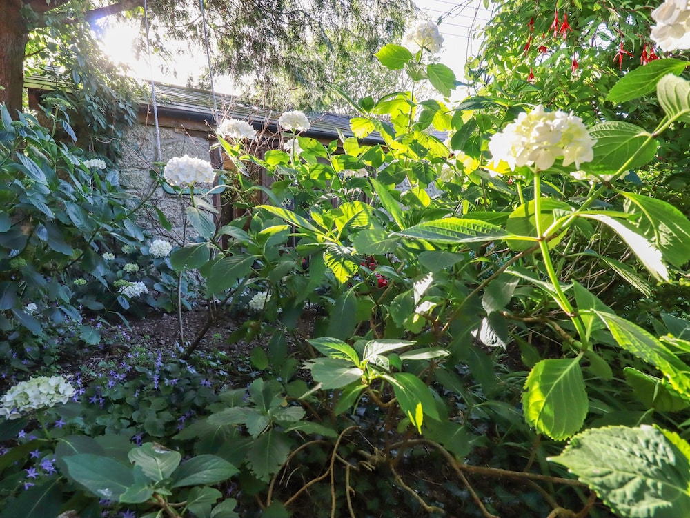 Cottage photo 3