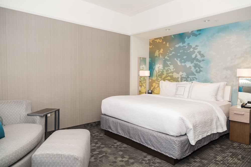 Room, 1 King Bed with Sofa bed (Mobility Accessible, Roll-In Shower) photo 3