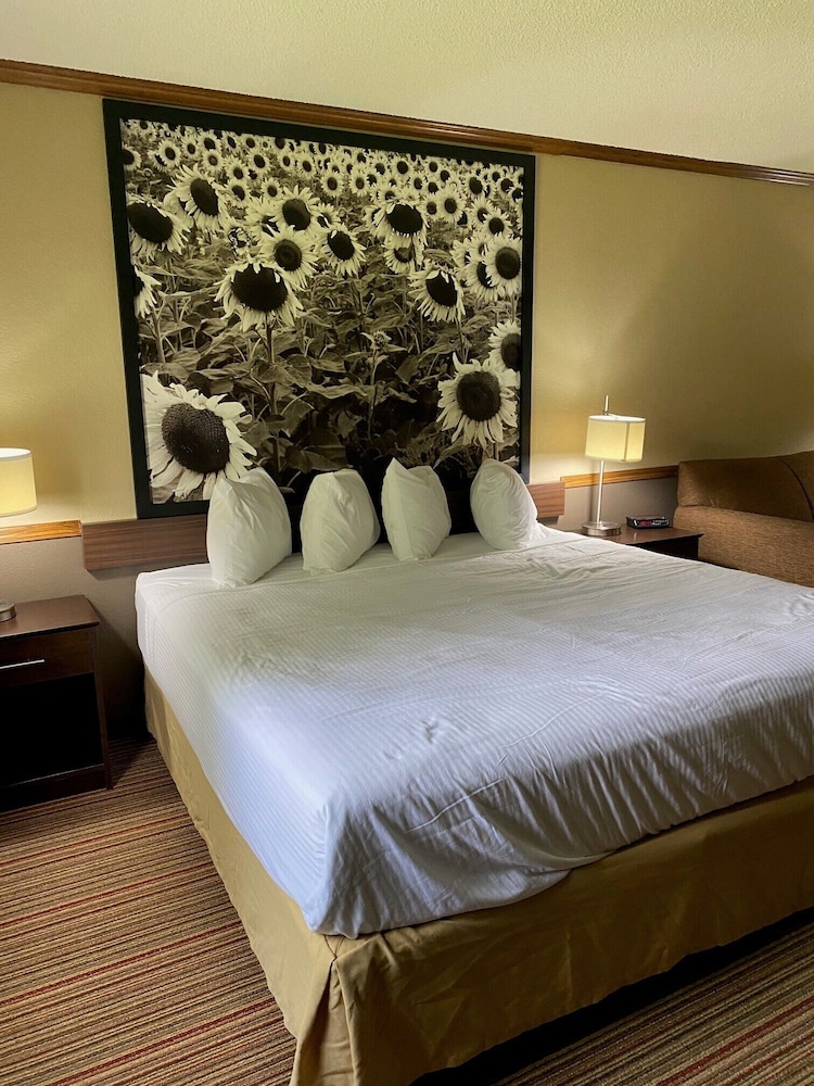 Suite, 1 King Bed, Non Smoking photo 2