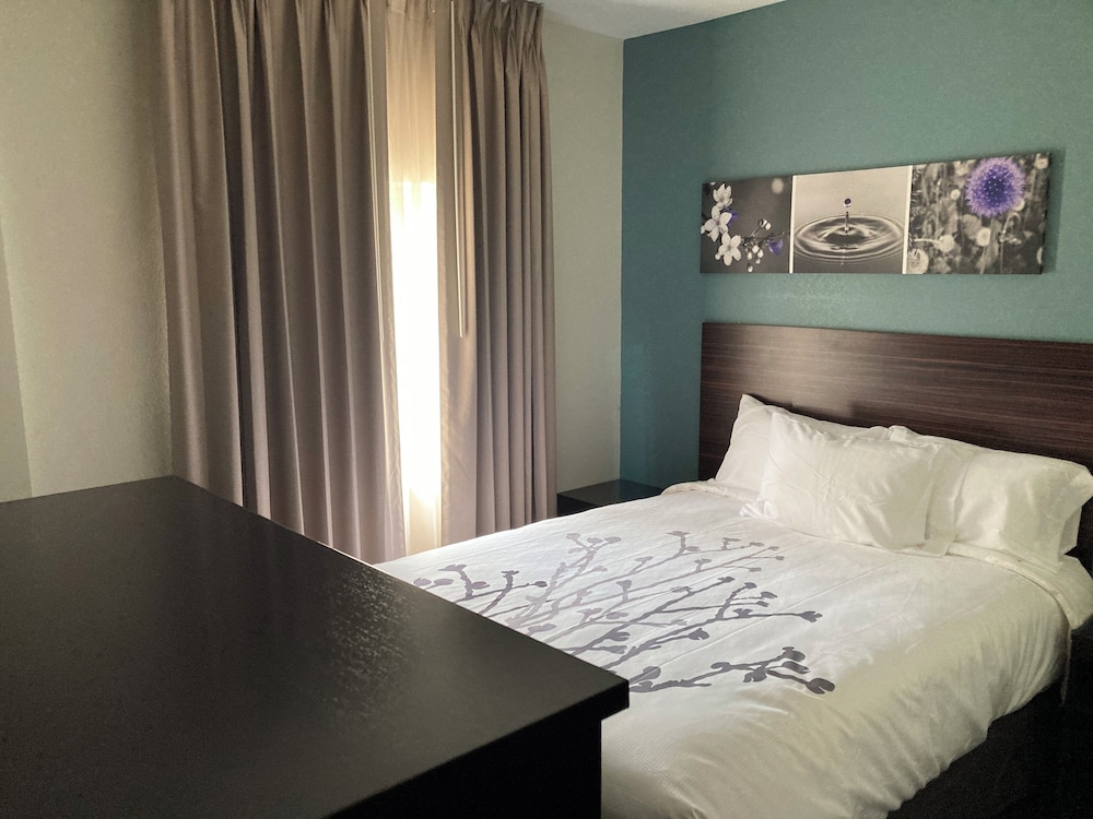 Room, 1 King Bed, Non Smoking - Photo 11