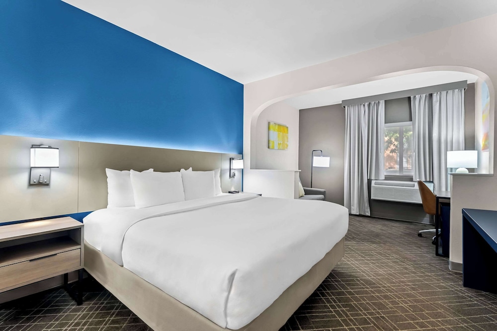 Suite, 1 King Bed with Sofa bed, Accessible, Non Smoking - Photo 6