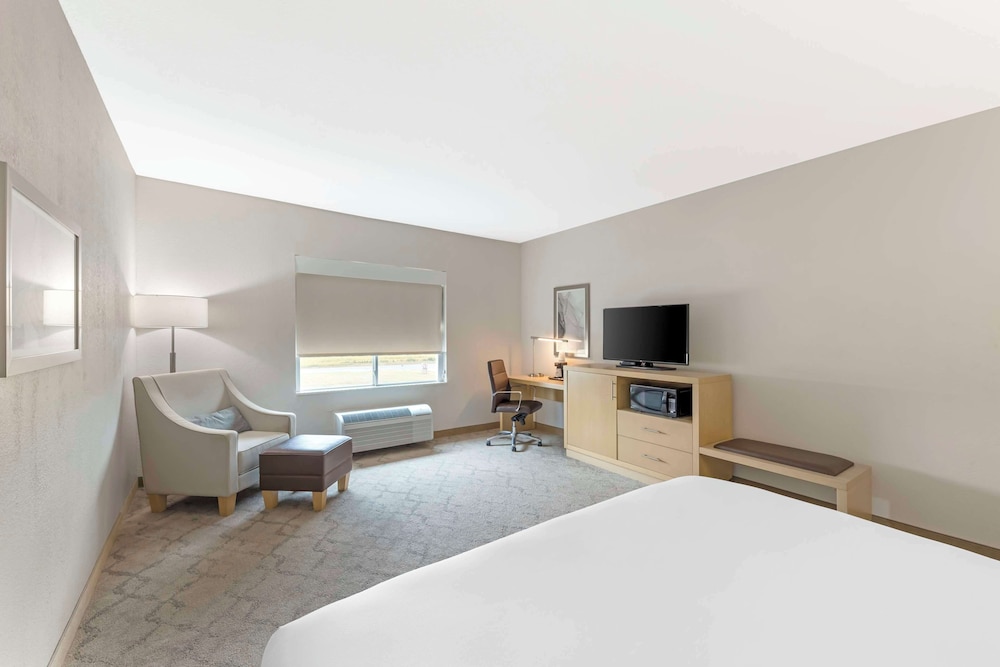 Standard Room, 1 King Bed, Non Smoking, Refrigerator & Microwave - Photo 4
