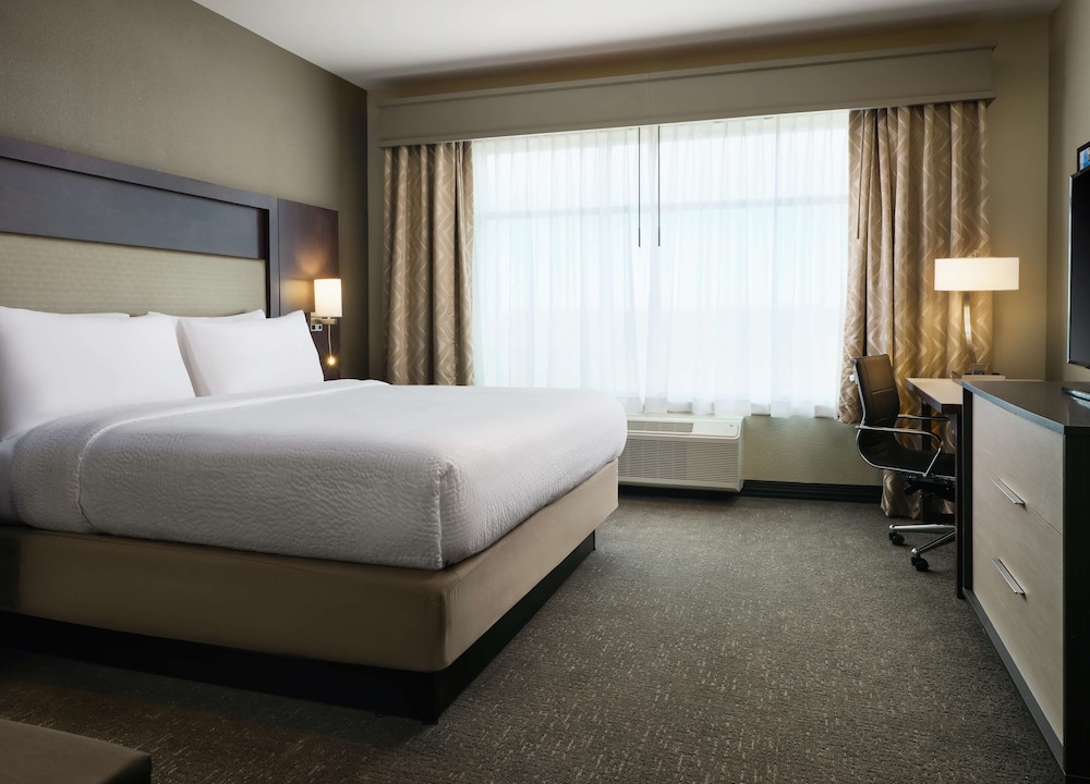 Suite, 1 King Bed, Non Smoking, Kitchen (Walk-in Shower,Sofabed,Full Kitchen) - Photo 1