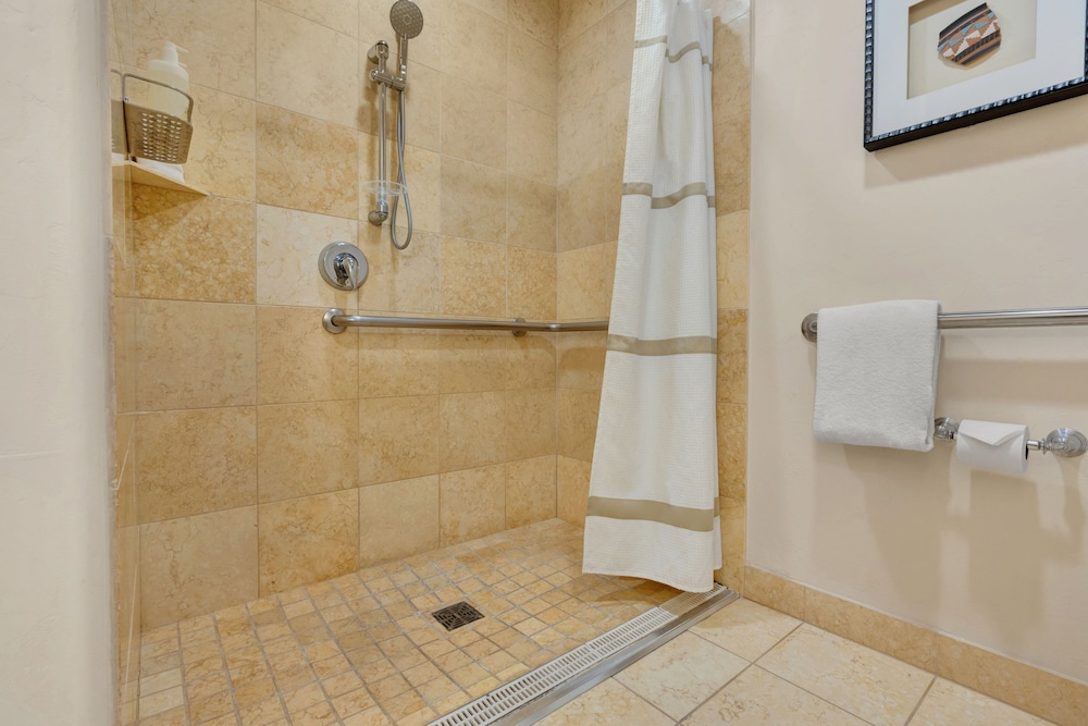 Room, 1 King Bed (Mobility/Hearing Access, Roll-In Shwr) - Photo 4