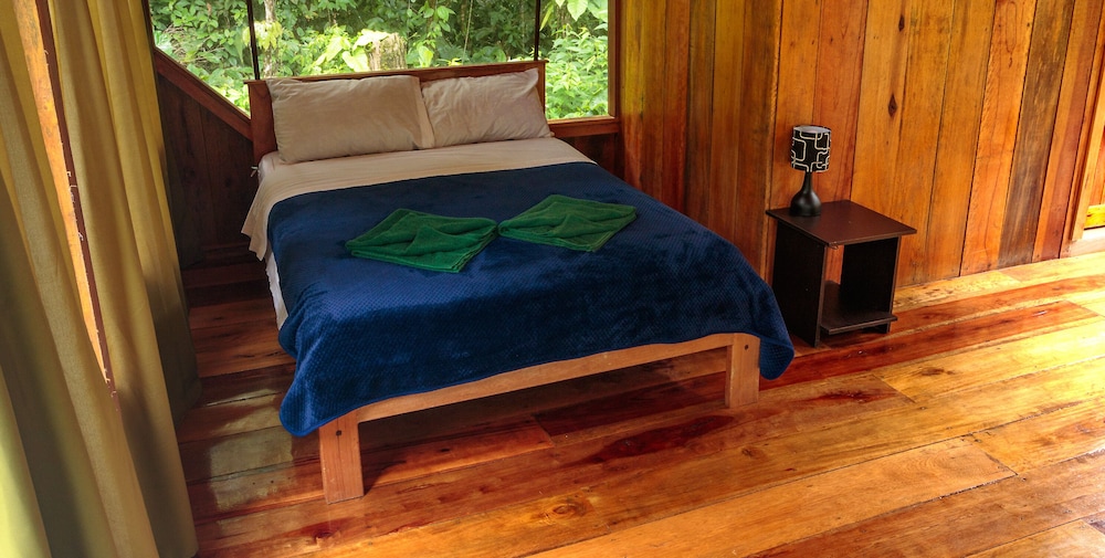 Traditional Room photo 2