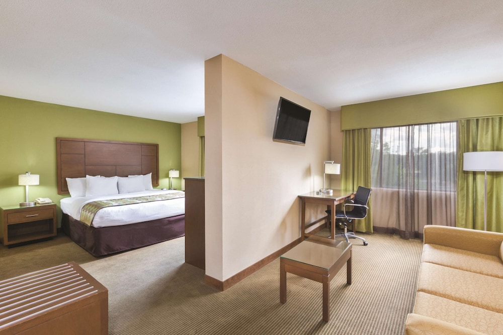 Deluxe Suite, 1 King Bed, Non Smoking - Photo 4