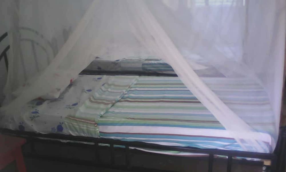 Standard Twin Room, Multiple Beds, Smoking