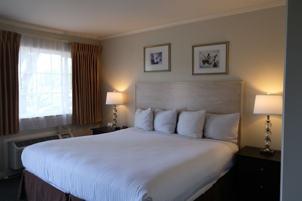 Standard Room, 1 King Bed photo 1