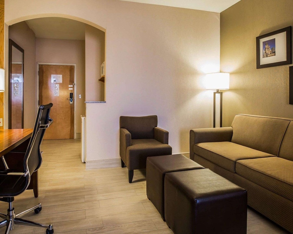 Suite (1 King bed and 1 Sofabed) photo 2