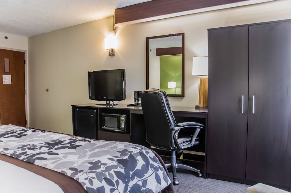 Standard Room, 1 King Bed, Non Smoking - Photo 3