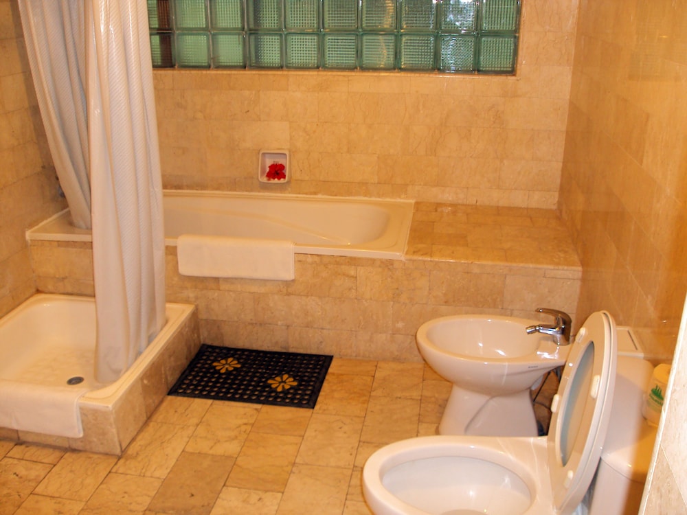 Deluxe Double or Twin Room - Photo 8