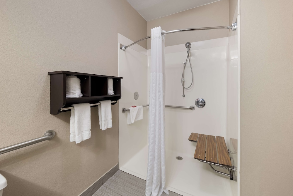 Standard Room, 1 King Bed, Accessible, Refrigerator & Microwave (with Sofabed) photo 3