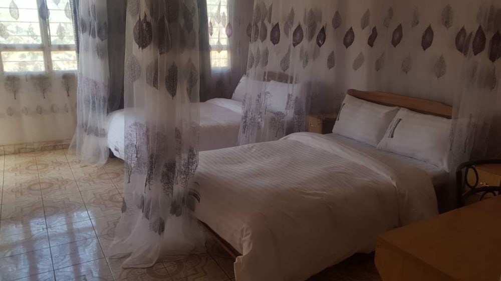 Twin Room photo 1