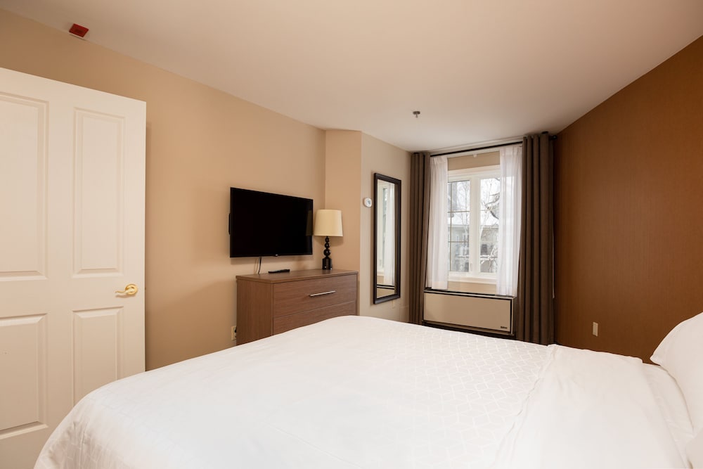 Suite, 1 Queen Bed with Sofa bed