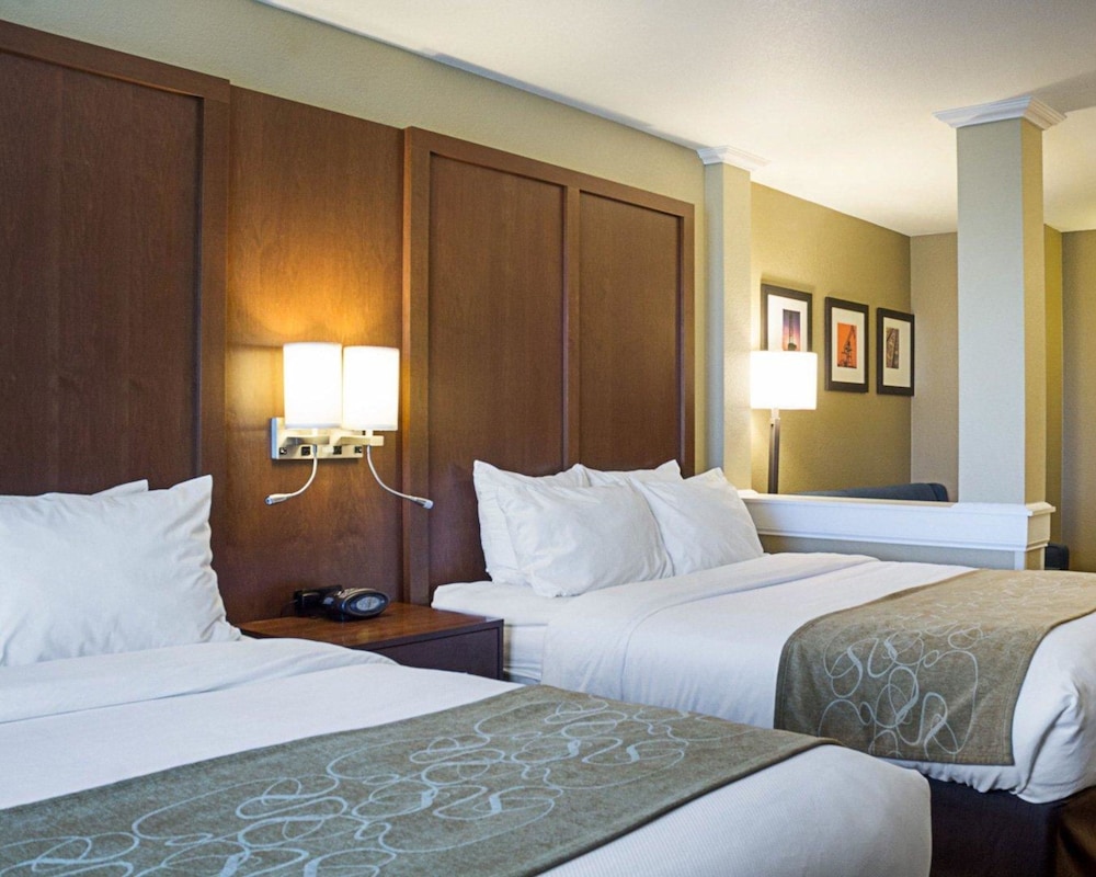 Suite, Accessible photo 3