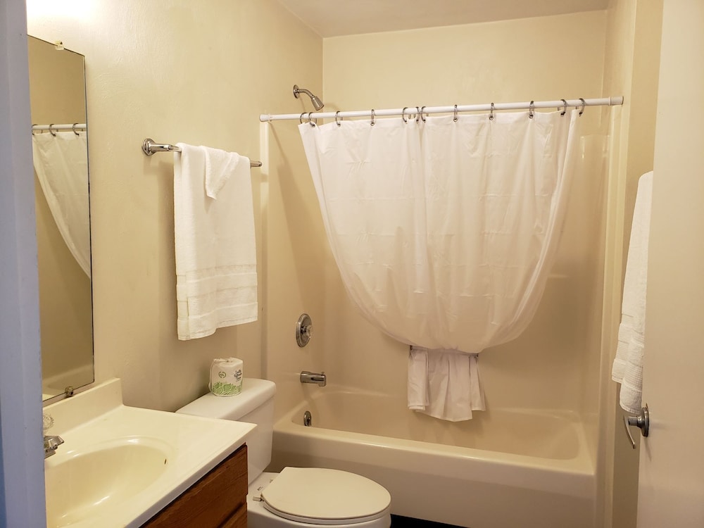 Suite, 1 Queen Bed photo 3